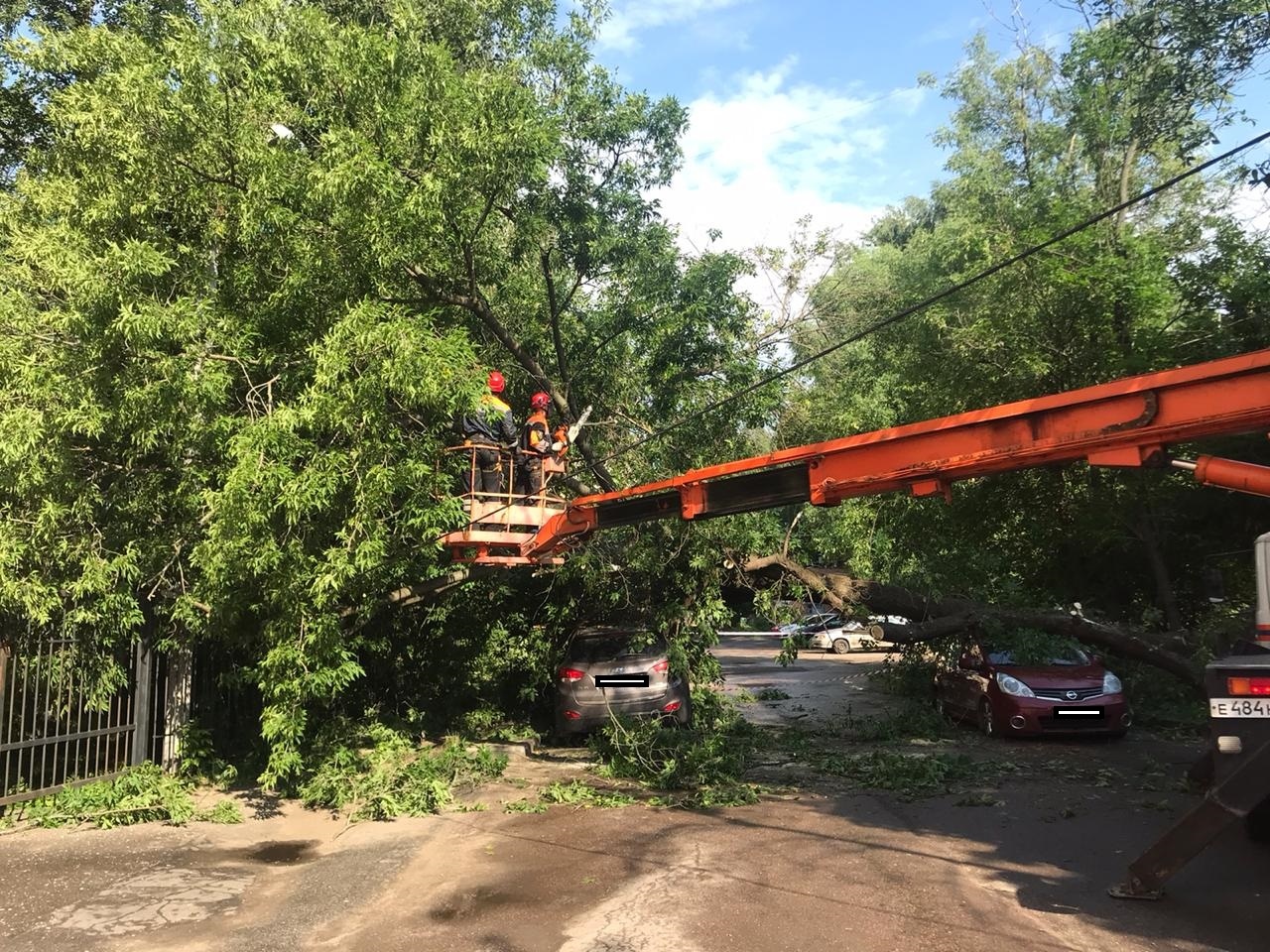 Огромное дерево упало на две машины в центре Ярославля