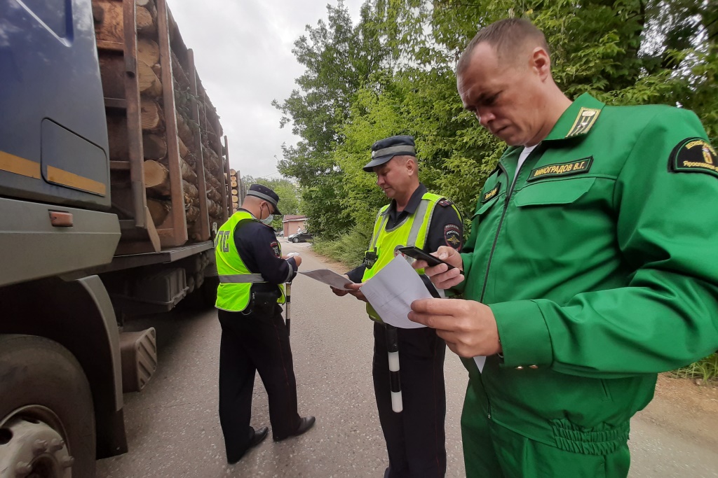 Более 100 рейдов по контролю за транспортировкой древесины провели в регионе с начала года