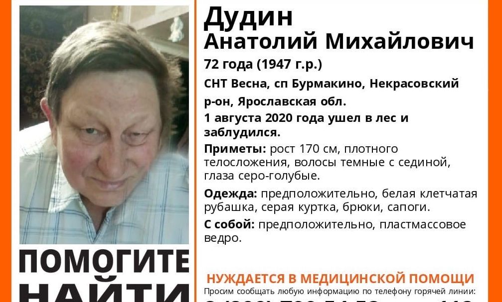 В лесу Ярославской области пропал 71-летний дедушка