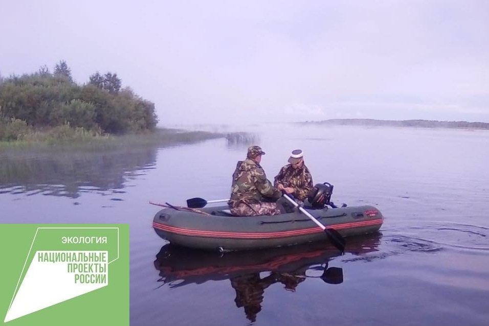 Патрулирование охотничьих угодий Ярославской области проходит в усиленном режиме