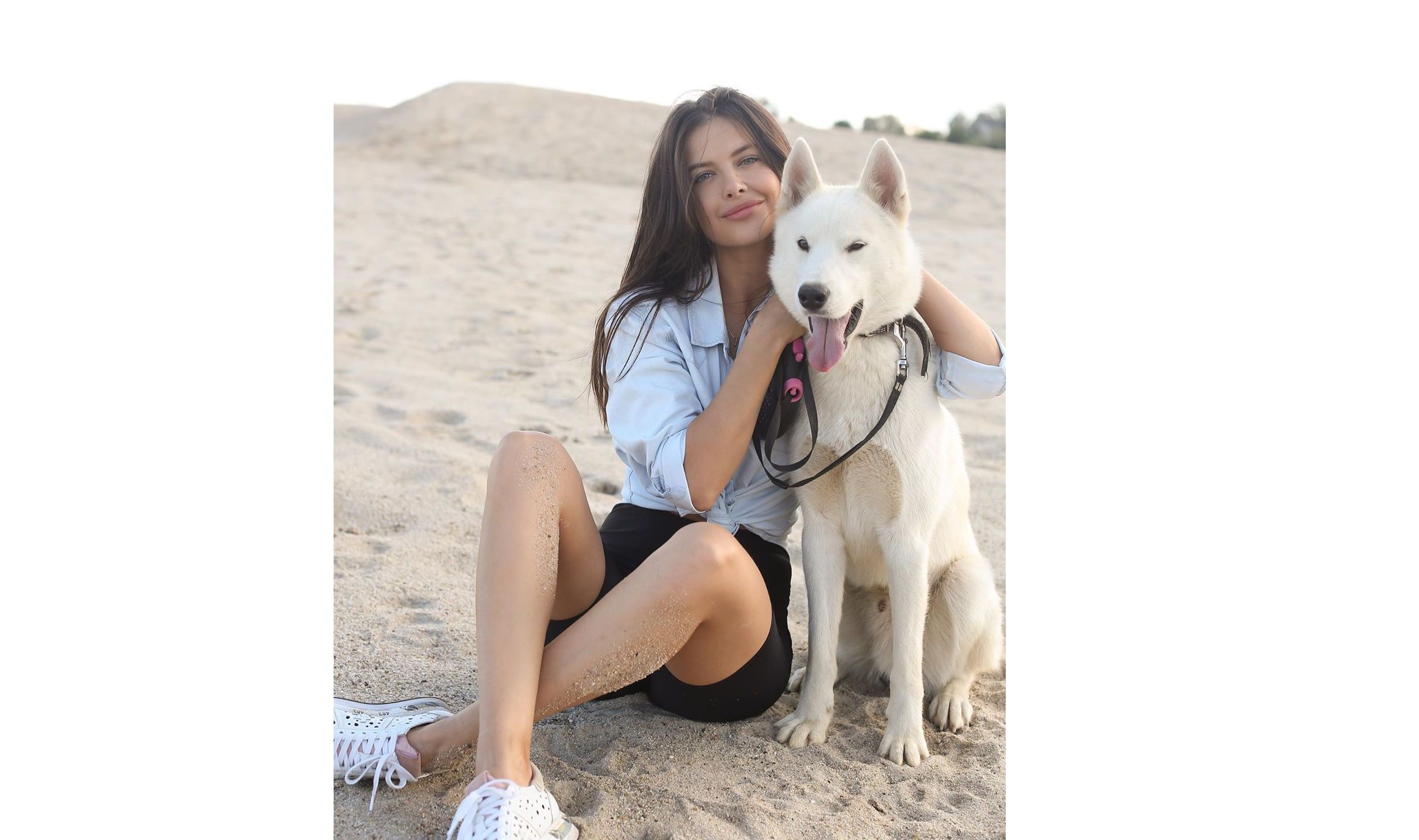 Участница «ВИА Гры» решила помочь собакам из ярославского приюта найти новых хозяев