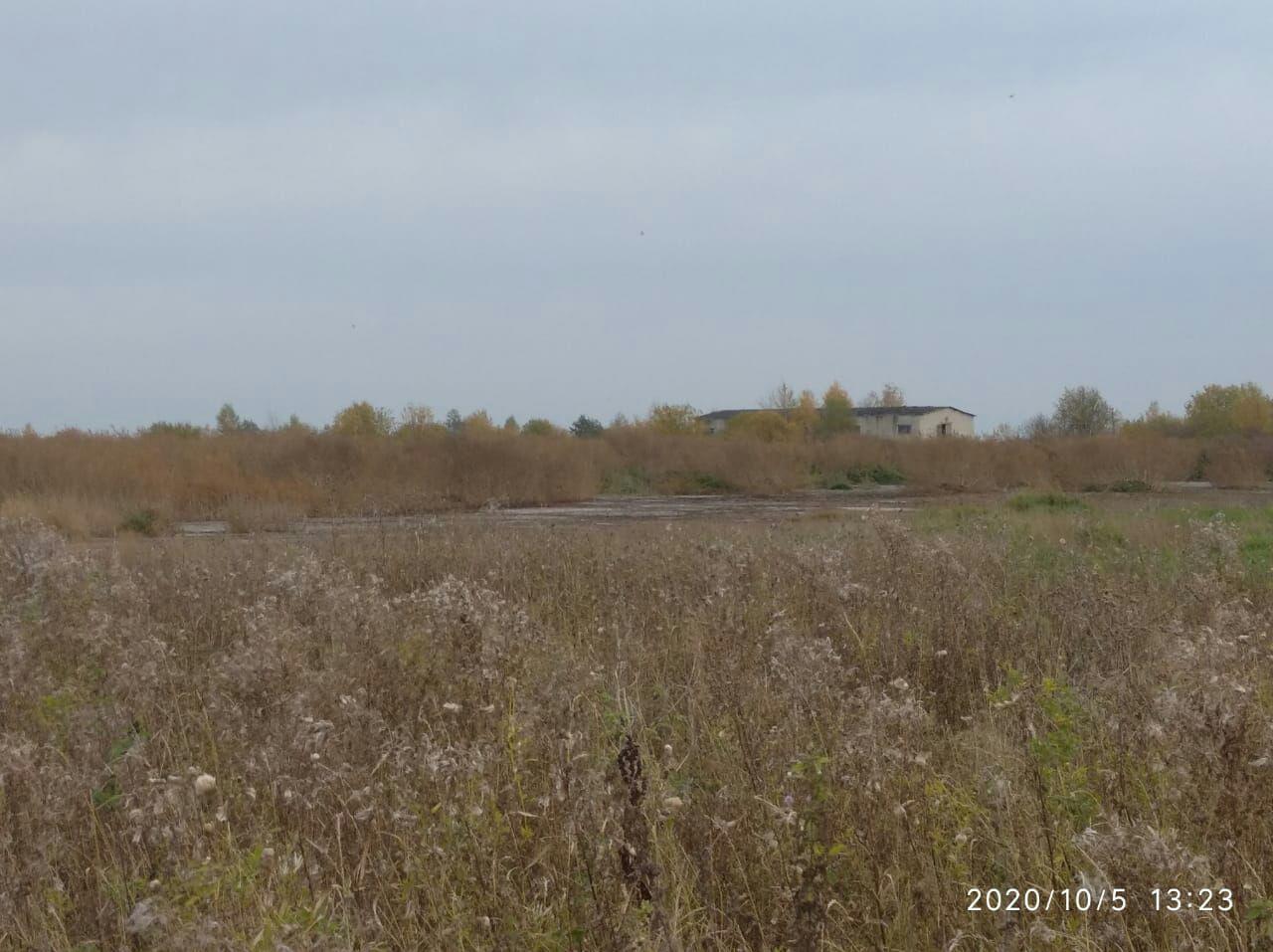 Информация о загрязнении реки в Кузнечихинском сельском поселении не подтвердилась