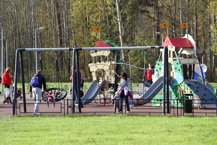 В парке на Волочаевской в Рыбинске общественники организовали дежурство