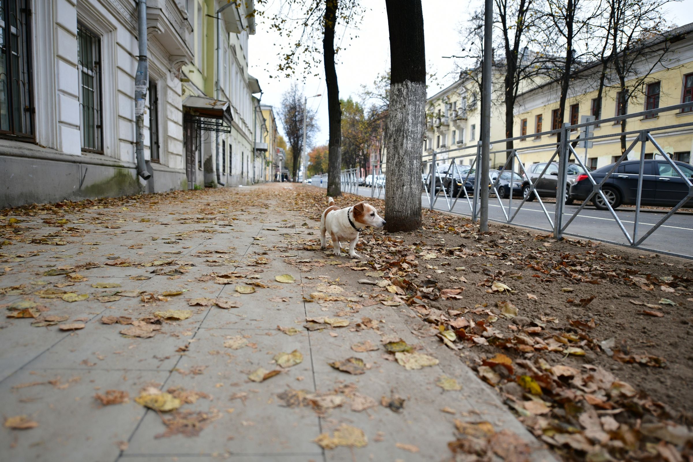 Ремонт улицы Пушкина в центре Ярославля полностью закончат в течение недели