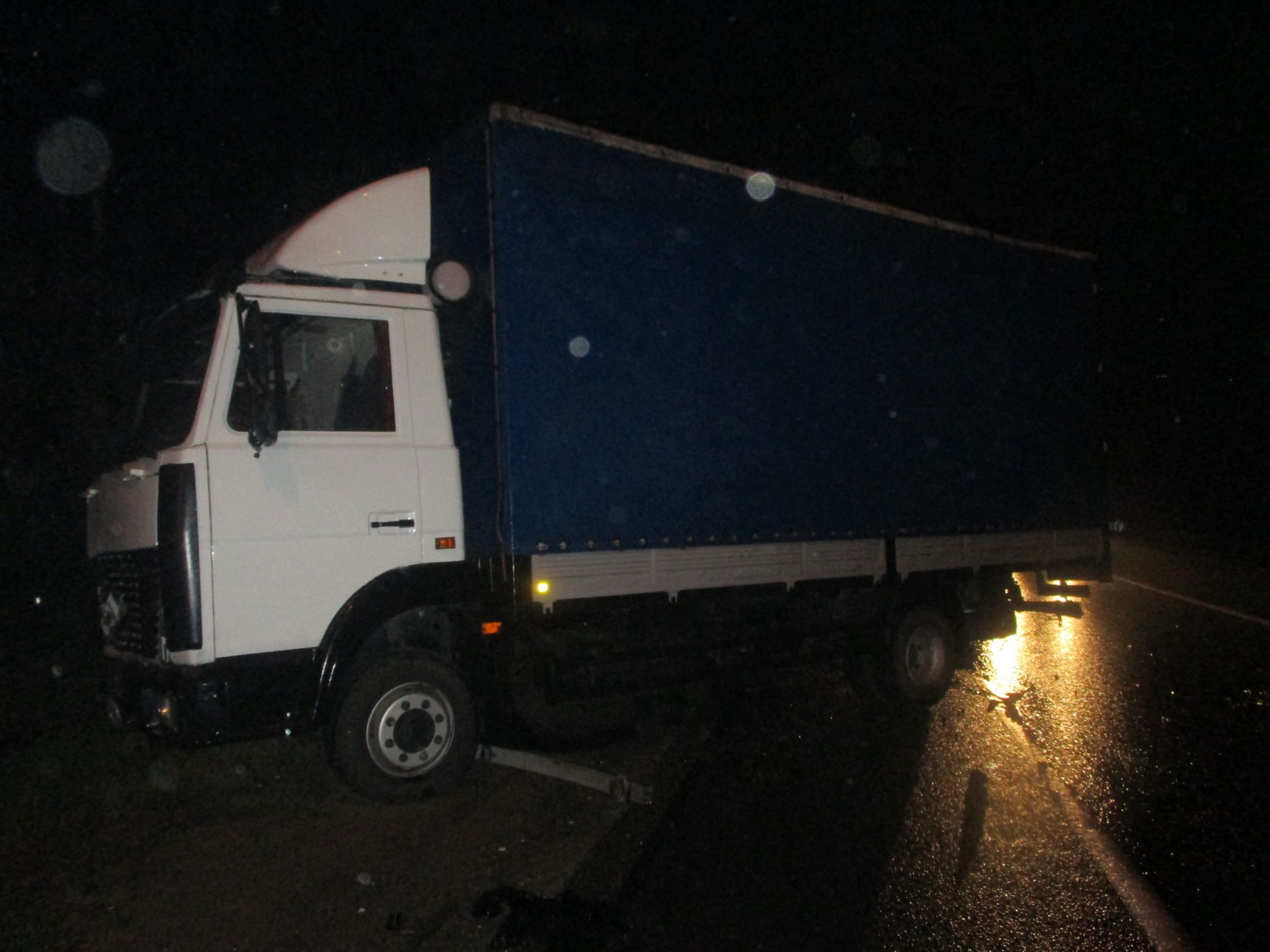 В Ярославской области в ДТП с фурой пострадал водитель легковушки