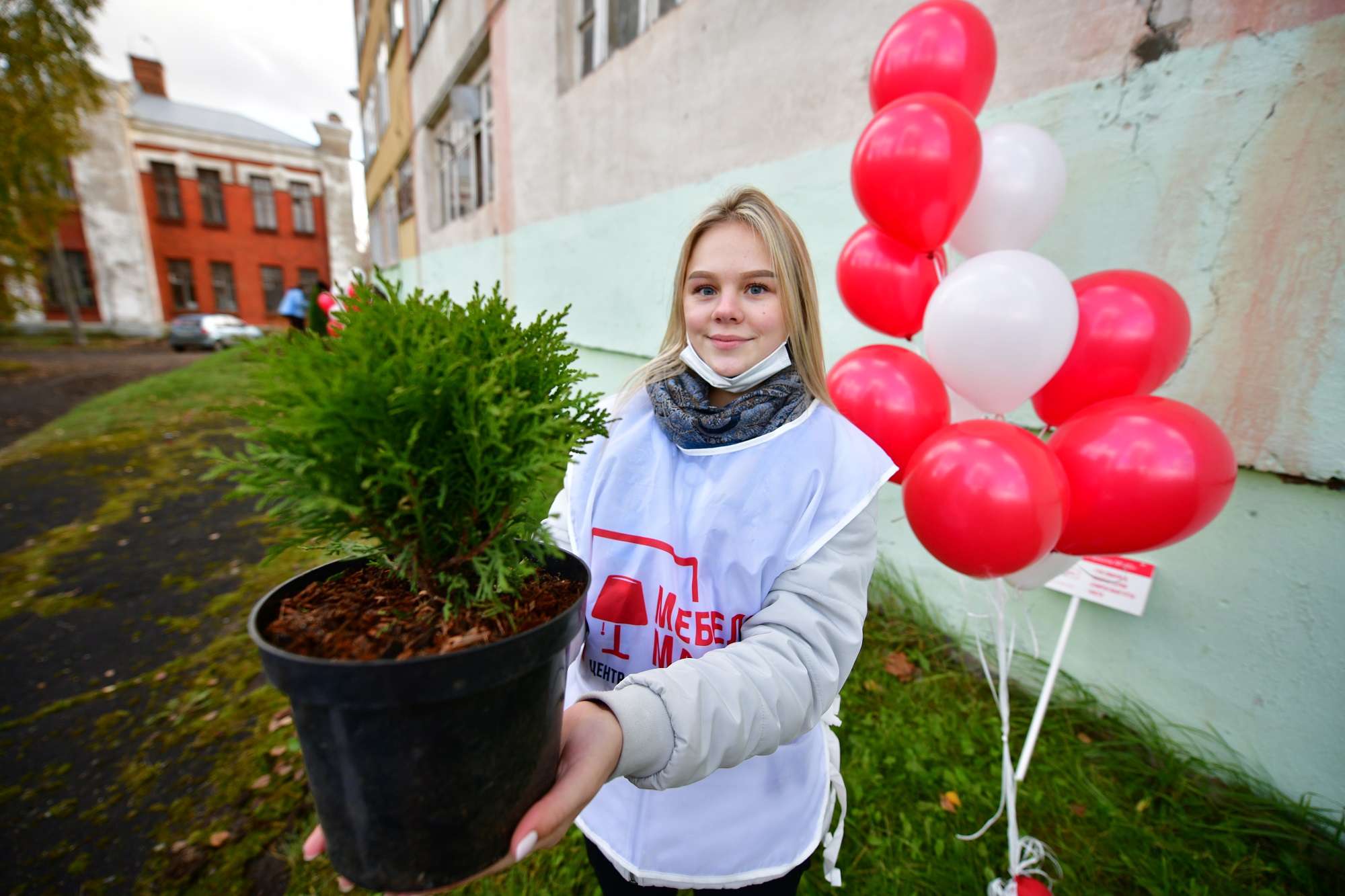 Ярославская школа № 40 получила в подарок ландшафтные композиции- Яррег -  новости Ярославской области