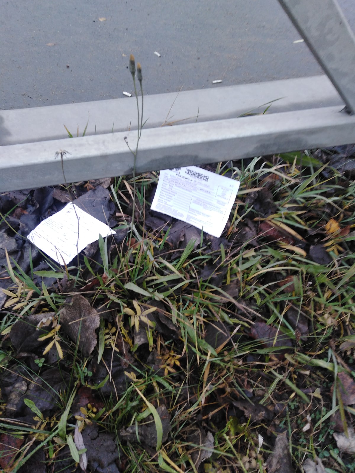 В Ярославле на дорогу высыпались почтовые извещения: началась служебная проверка