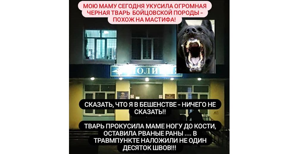 В Ярославле бойцовская собака напала на пожилую женщину