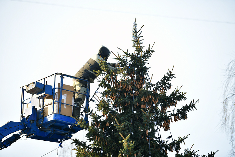 В парках Ярославля начали украшать новогодние елки