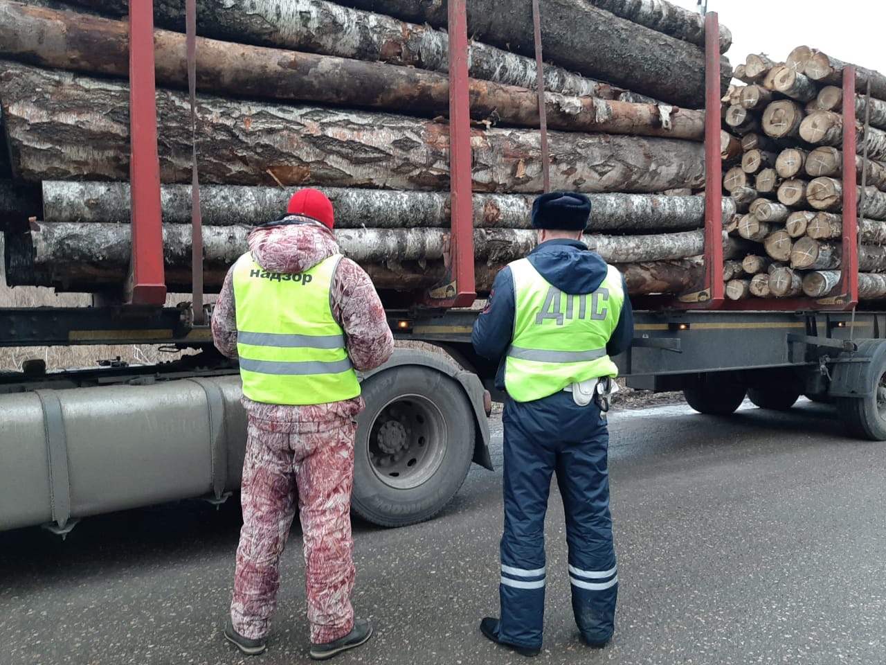 200 мероприятий по контролю за транспортировкой древесины провели в Ярославской области