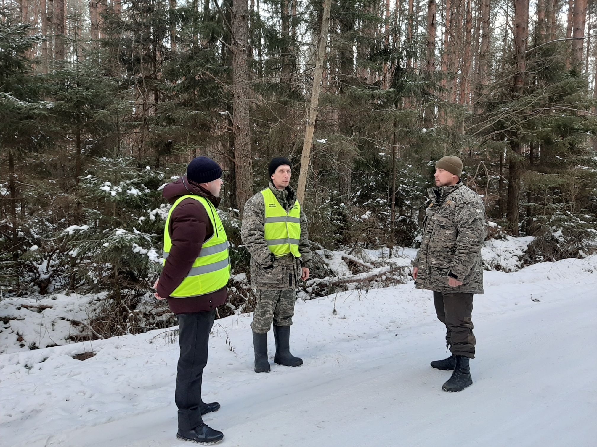 В Ярославской области началось усиленное патрулирование лесов
