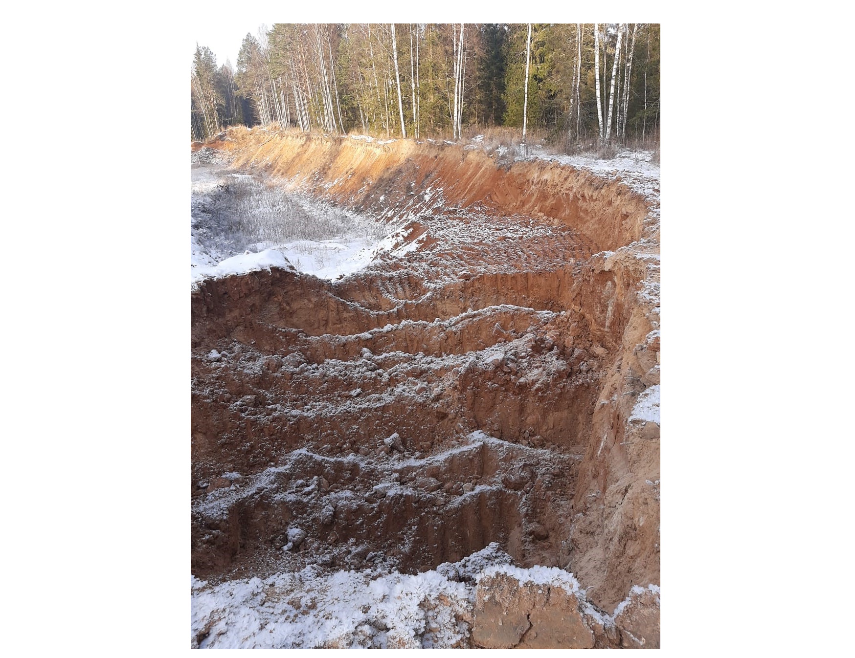В Ярославской области пресекли незаконную добычу песка на лесном участке в районе деревни Купанское