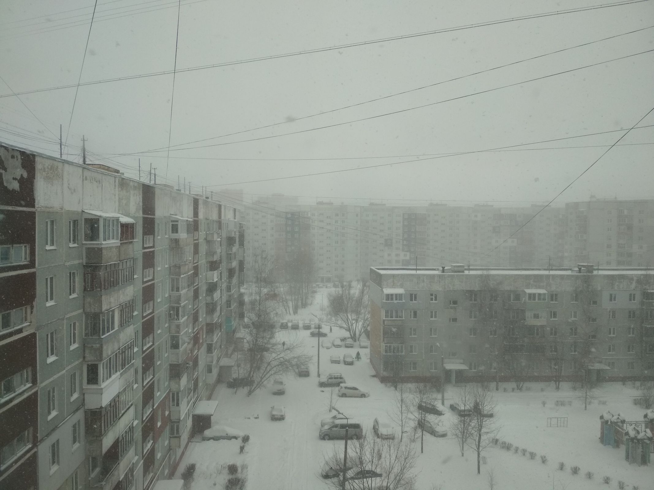 На Ярославскую область обрушилась метель: за сутки в регионе может выпасть четверть месячной нормы осадков