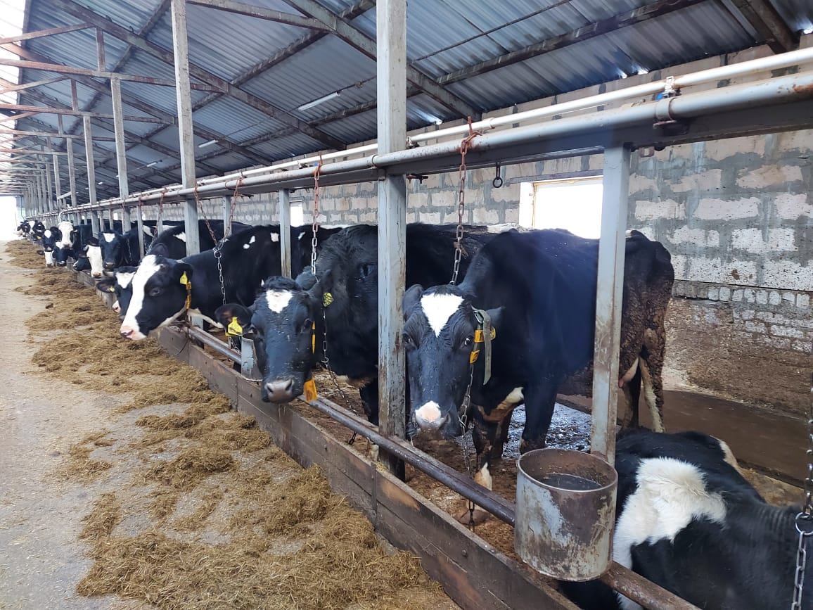 Более 30 миллионов будет направлено на поддержку сельхозпотребкооперативов региона в 2021 году