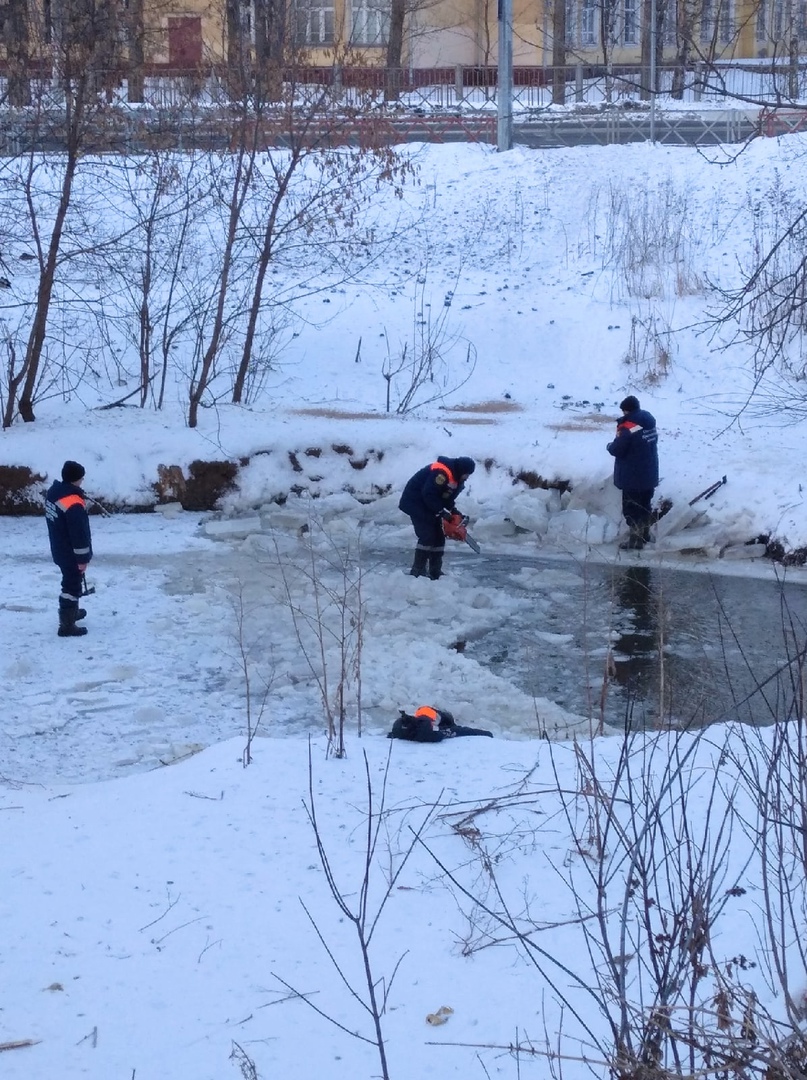 В Ярославле спасатели помогли уткам и расчистили водоем ото льда