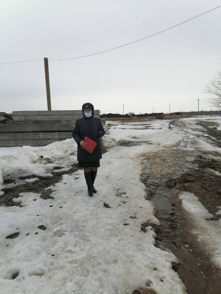 В Ярославской области приостановили работу сельскохозяйственного предприятия, где выявили бруцеллез