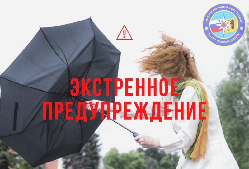 Экстренное предупреждение от МЧС: в Ярославской области ожидаются дождь, мокрый снег и сильный ветер