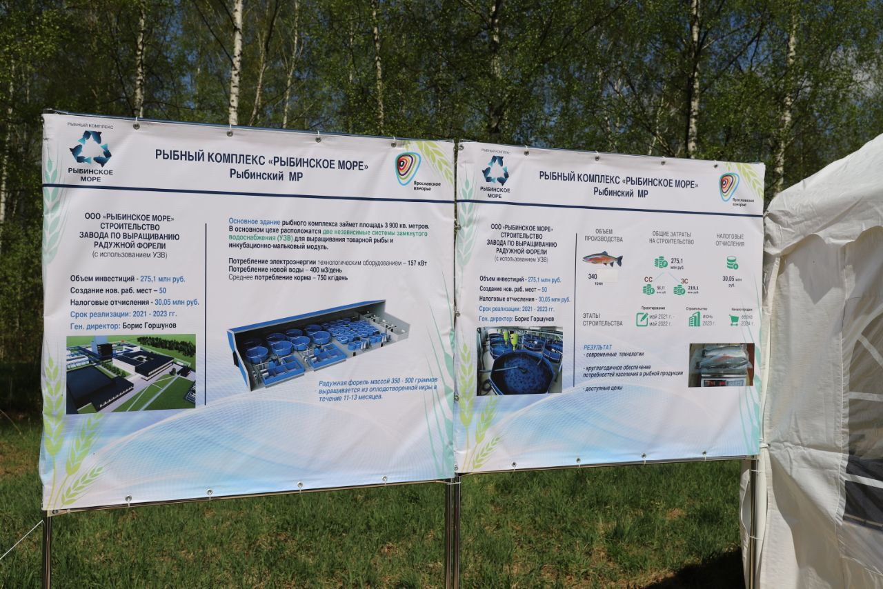 В Рыбинском районе построят новое предприятие по выращиванию форели