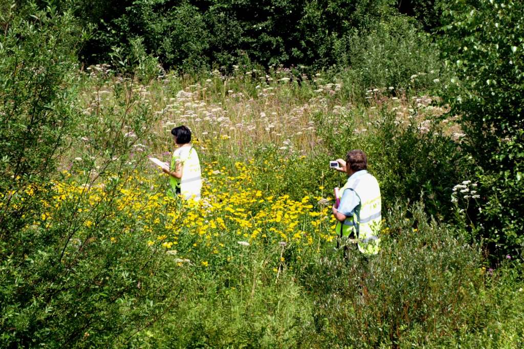 680 земельных участков проверили в регионе в рамках муниципального контроля