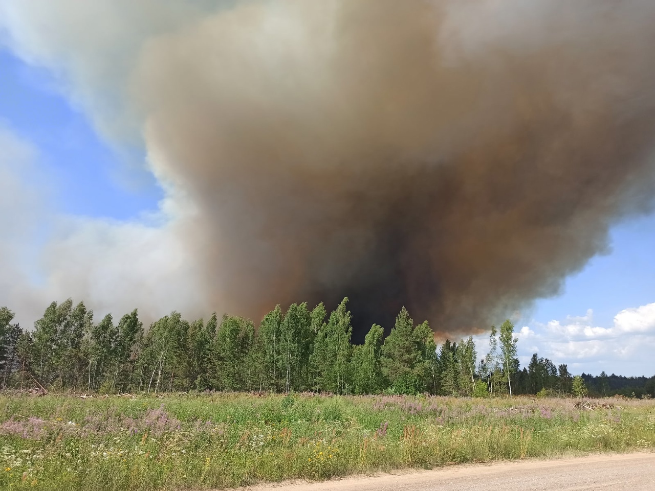 Небо над Красным Профинтерном в Ярославской области заволокло дымом: что горело