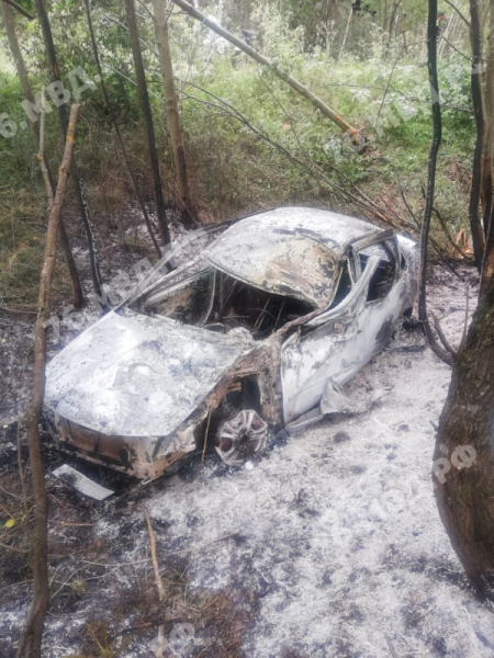 В Ярославской области в кювете нашли сгоревший автомобиль с останками человека