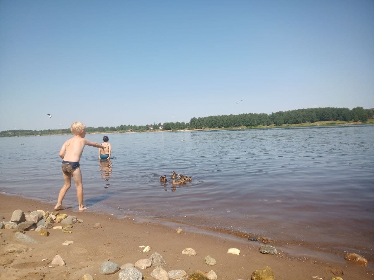 Жителям Ярославской области рассказали, как обезопасить детей на водных объектах