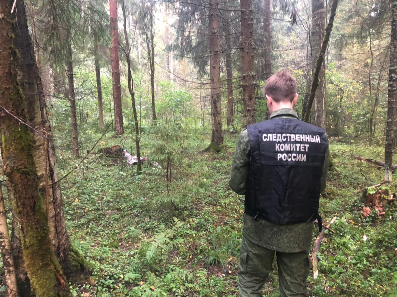 В Ярославской области нашли мертвым пропавшего в лесу пенсионера