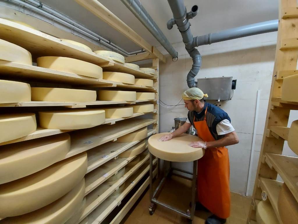 Сыр из Ярославской области признали лучшим сыром России – 2021