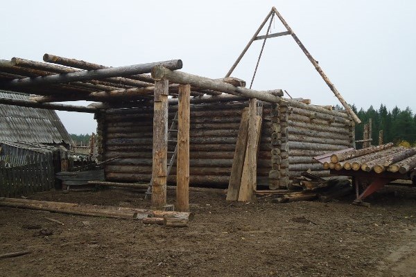 В Ярославской области усилен контроль за целевым использованием древесины