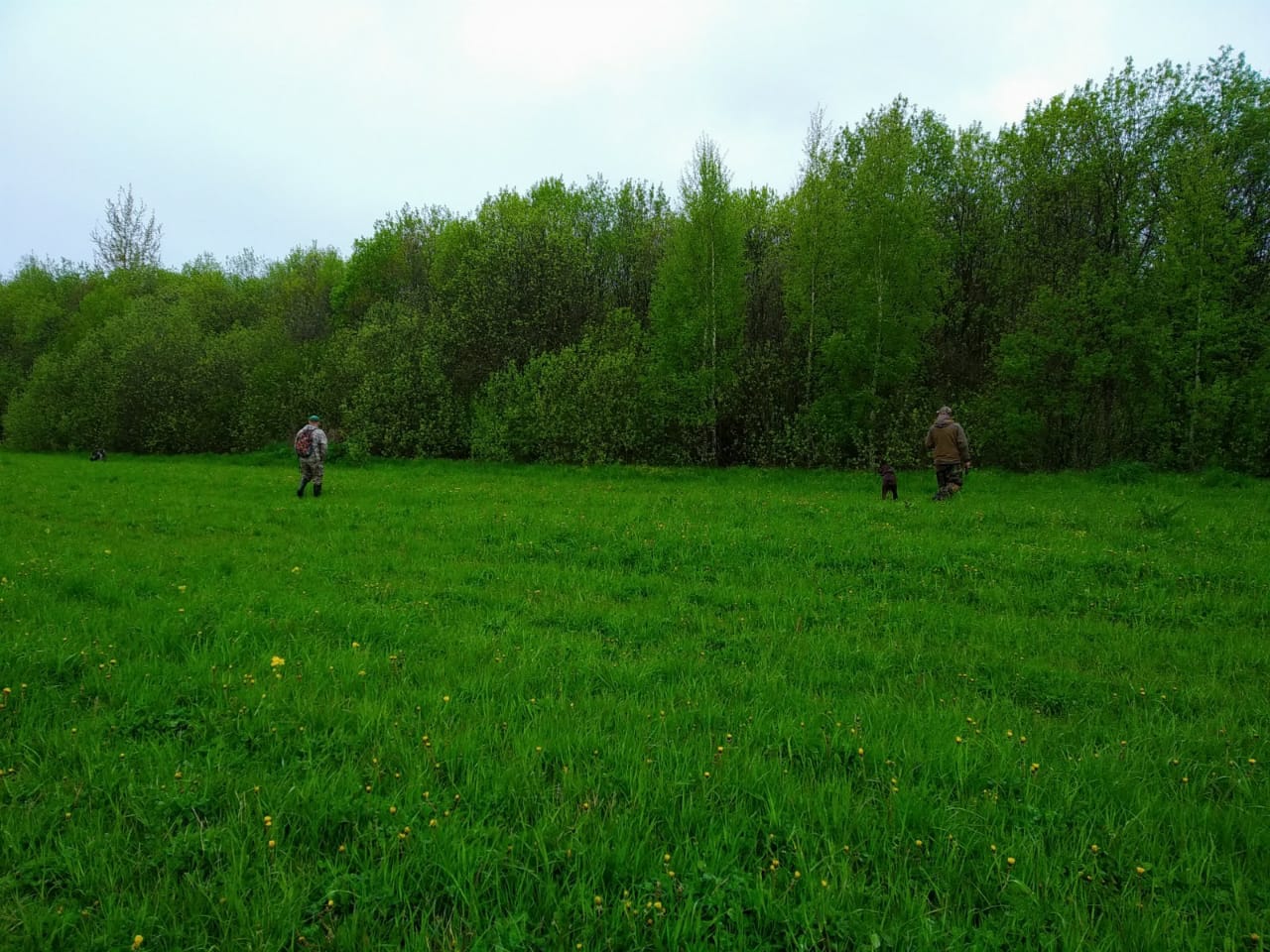 С 1 октября в Ярославской области откроется коллективная охота на лося