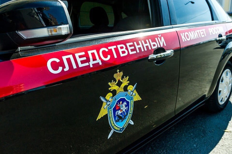 В Ярославской области 18-летнюю девушку задержали по подозрению в похищении трехлетнего ребенка