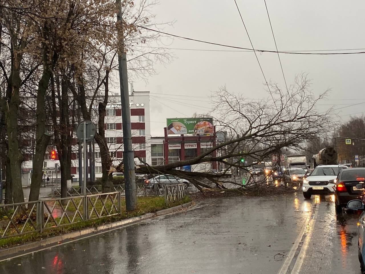 В Ярославле сильный ветер валил деревья и привел к перебоям в работе транспорта