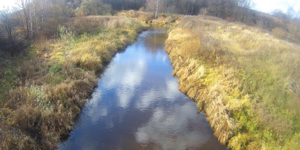 В Ярославской области провели обследование в связи с возможным загрязнением реки Печегды