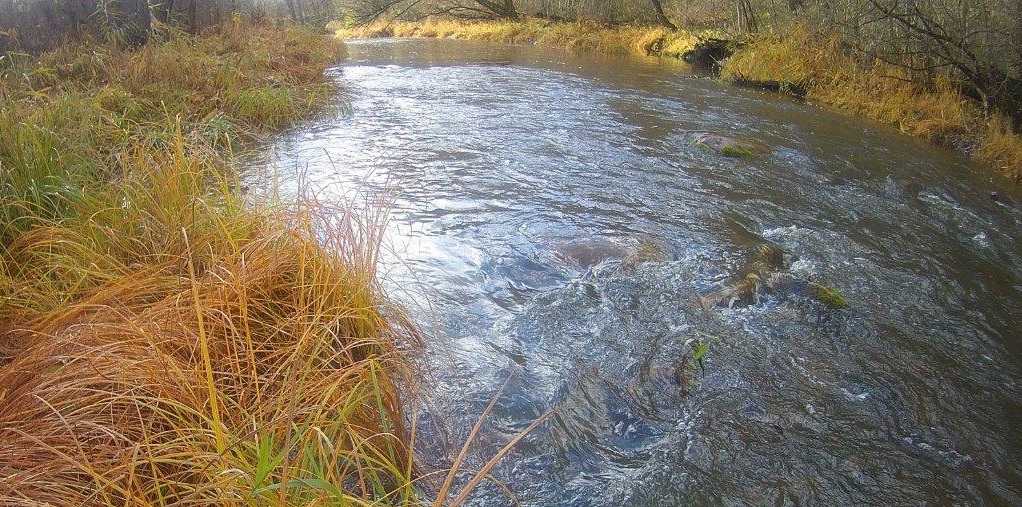 В Ярославской области провели обследование в связи с возможным загрязнением реки Печегды