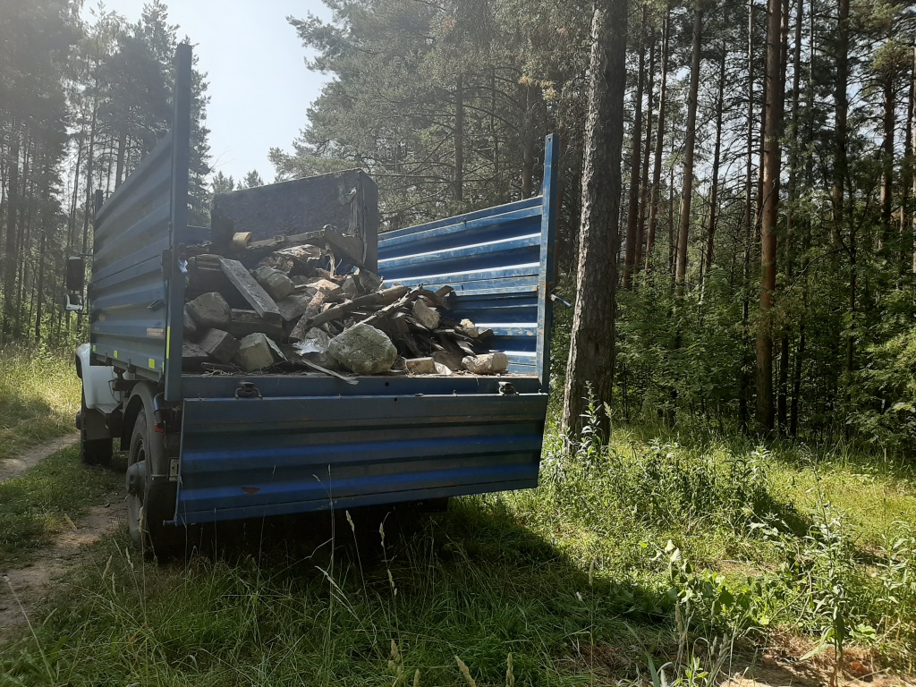 Около 500 кубометров мусора вывезли из ярославских лесов в этом году