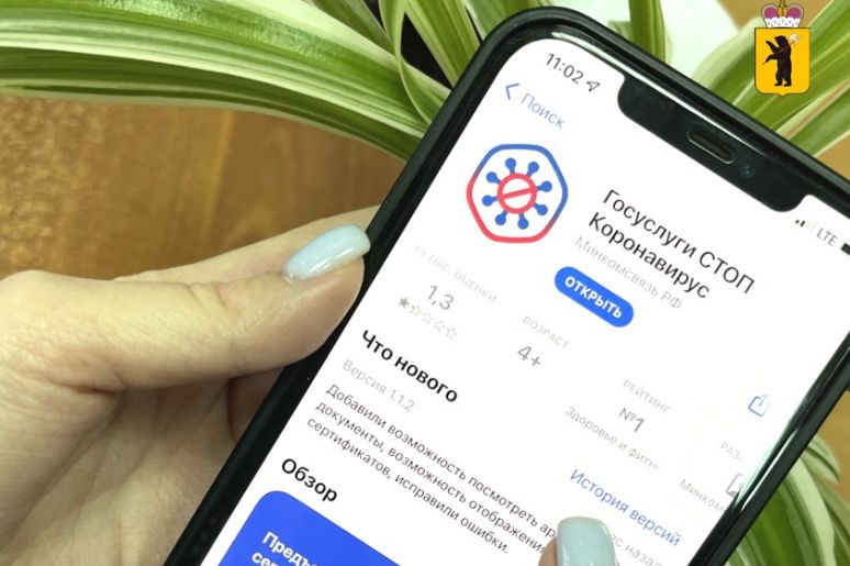 Ярославцы могут воспользоваться мобильным приложением по идентификации QR-кодов о вакцинации против ковида