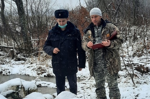 Незаконную рубку пресекли государственные лесные инспекторы в Ярославской области