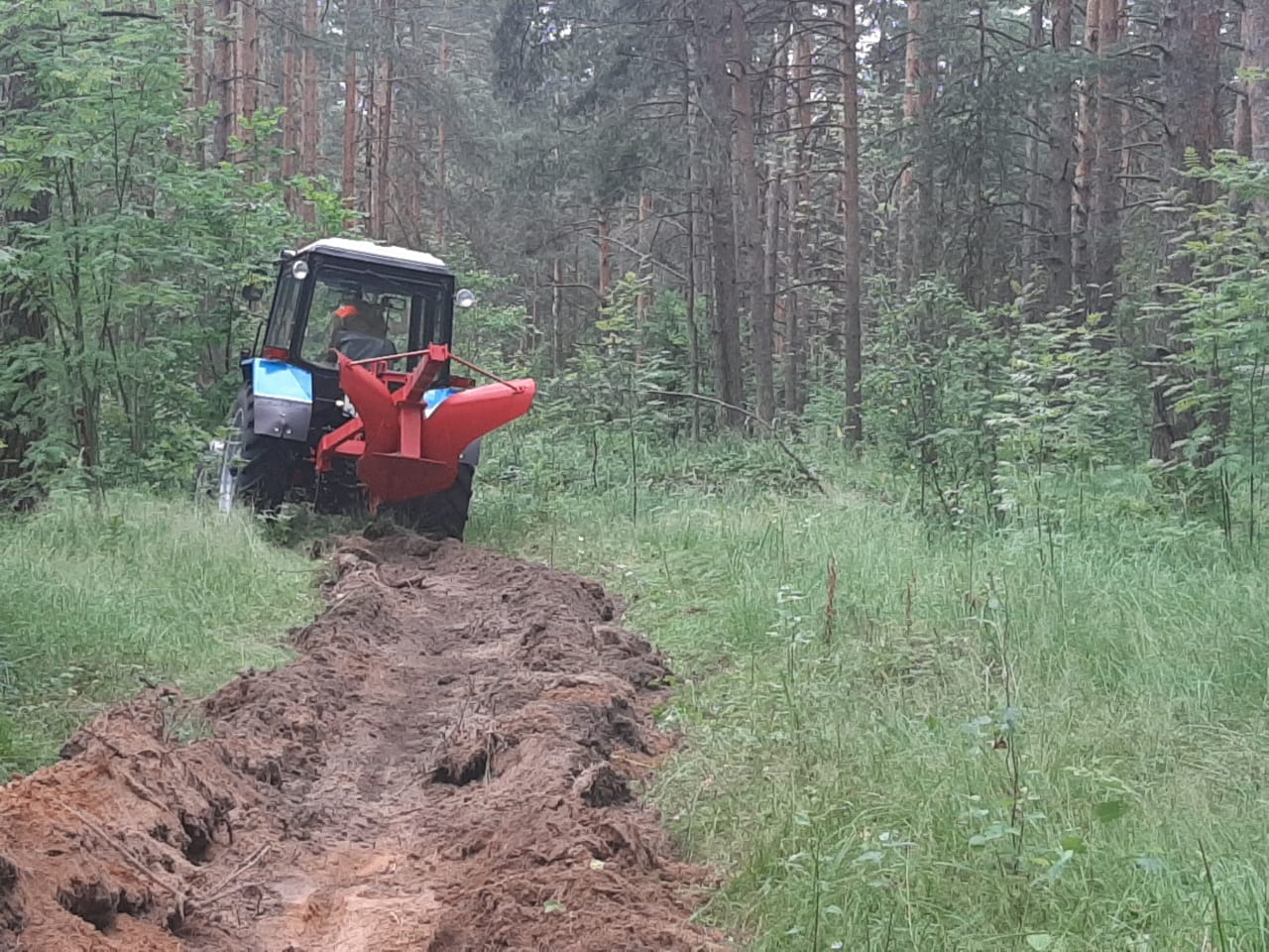Около тысячи километров минерализованных полос создано в Ярославской области в этом году