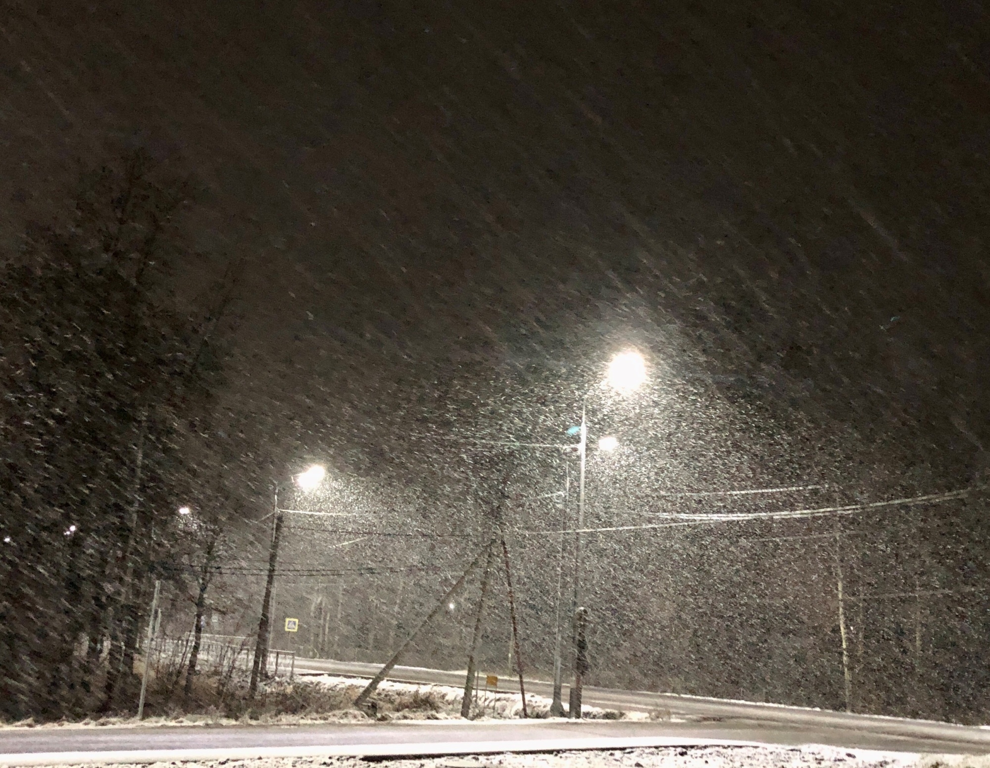 Мокрый снег и дождь: МЧС в Ярославской области предупреждает об ухудшении погоды