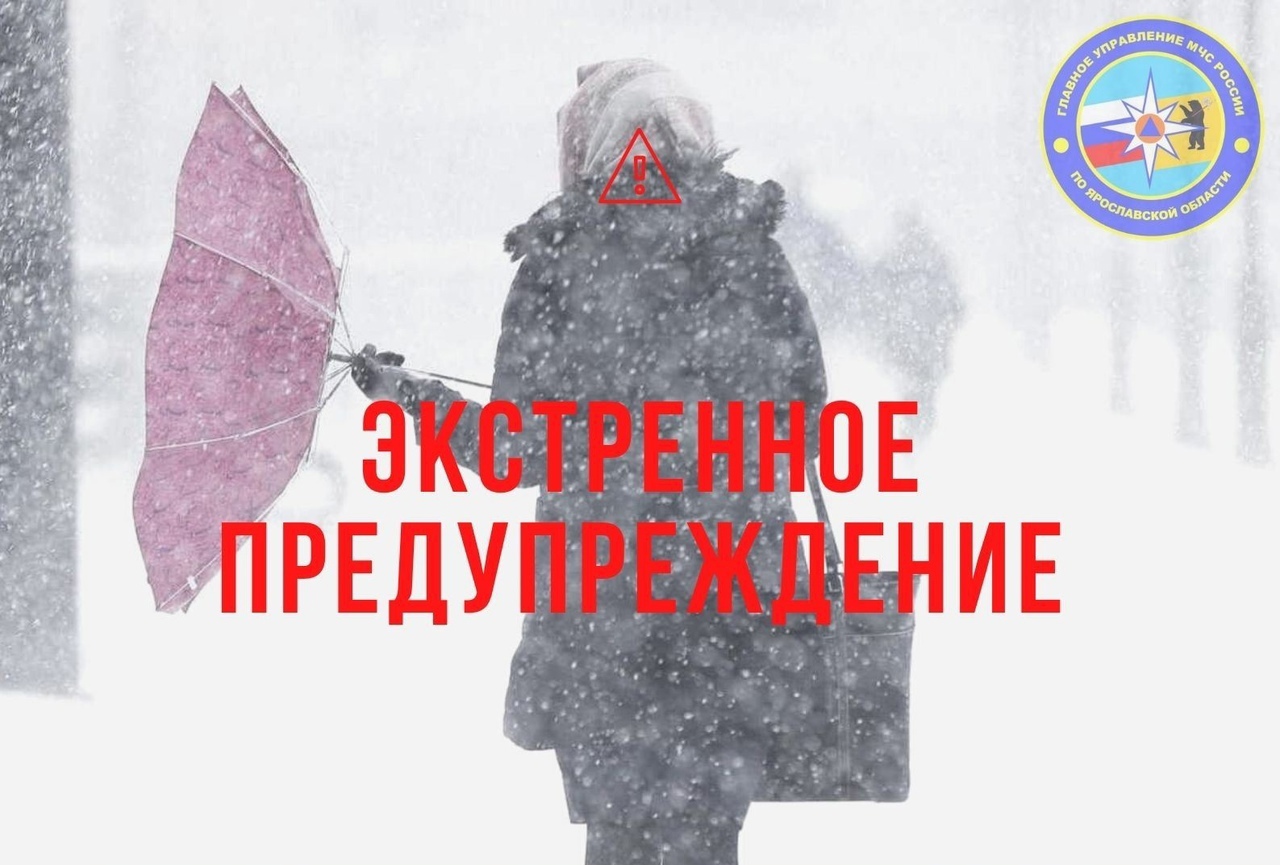 МЧС в Ярославской области предупреждает о метели и сильном ветре