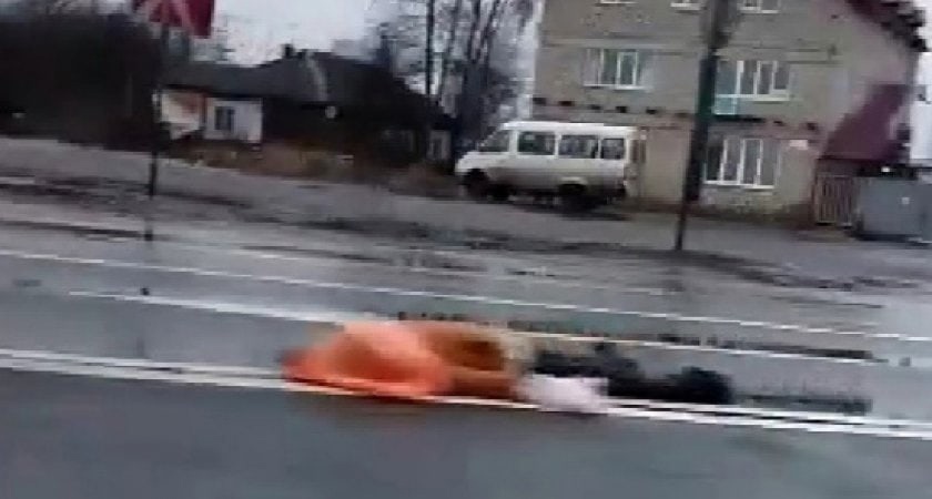 На трассе в Ярославской области насмерть сбили мужчину