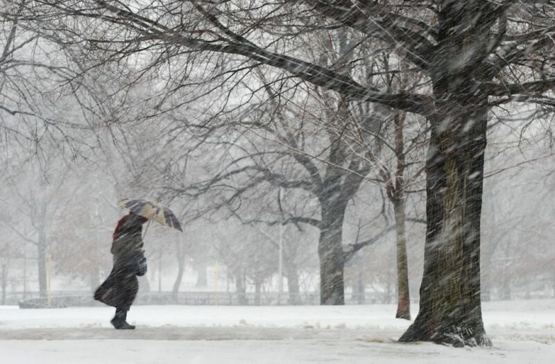 Мокрый снег и сильный ветер: МЧС в Ярославской области предупреждает об ухудшении погоды