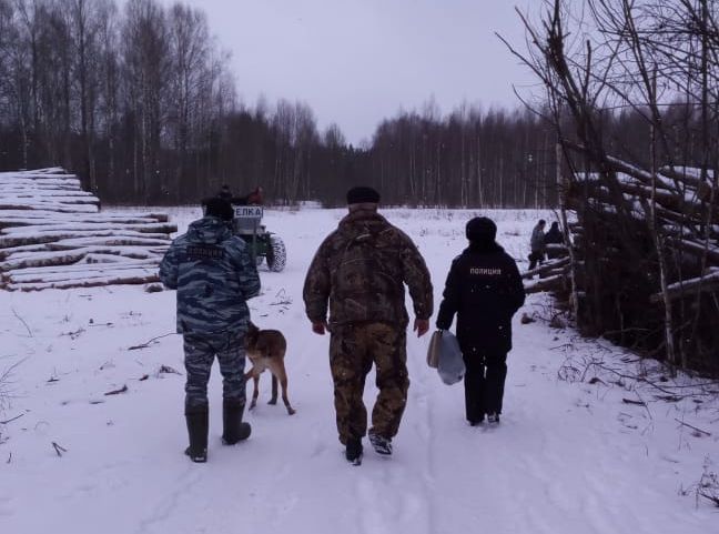 В Ярославской области браконьер за убийство двух лосей возместил причиненный вред в 640 тысяч рублей