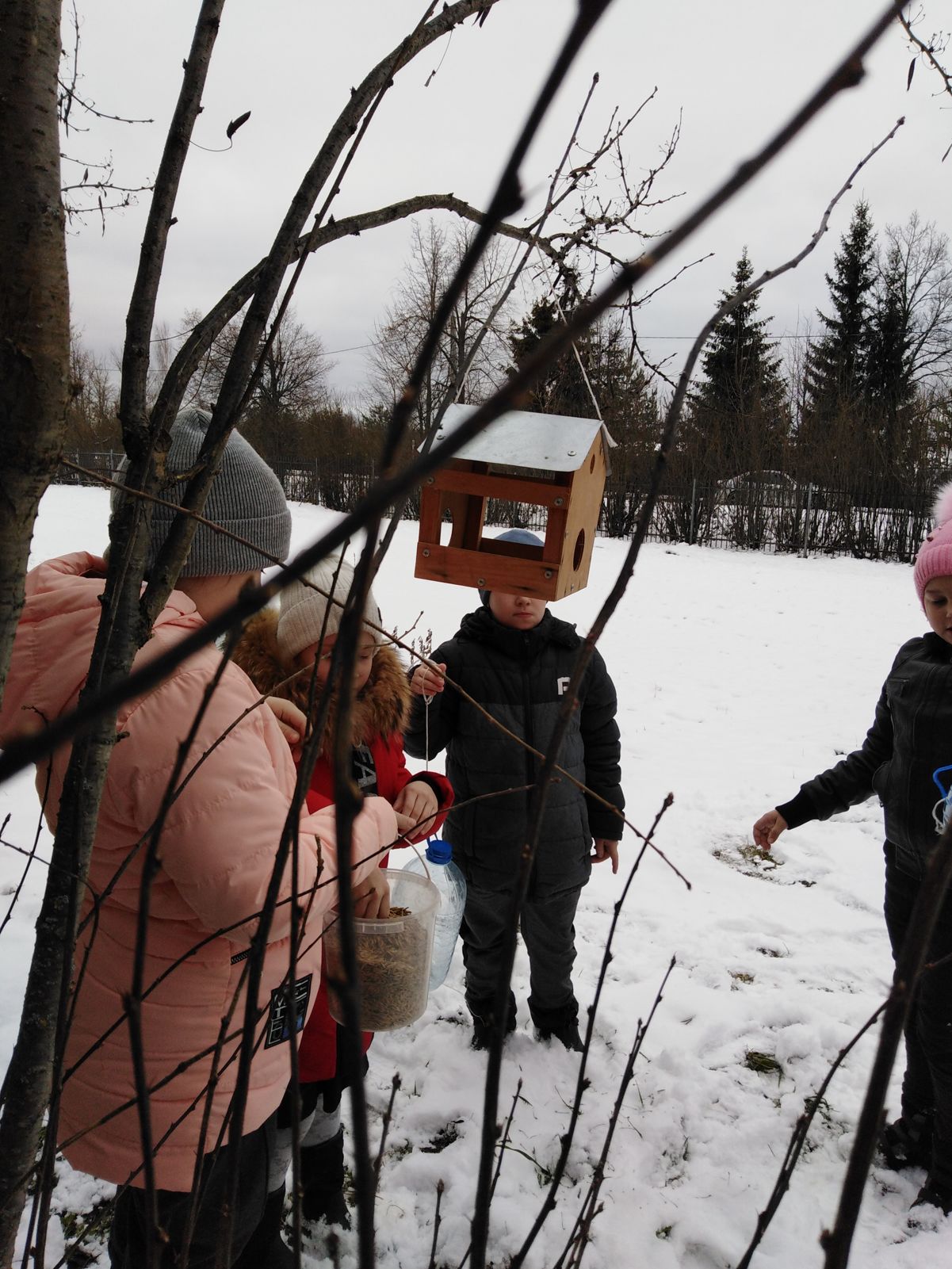 В Ярославской области стартовала акция «Покормите птиц зимой»