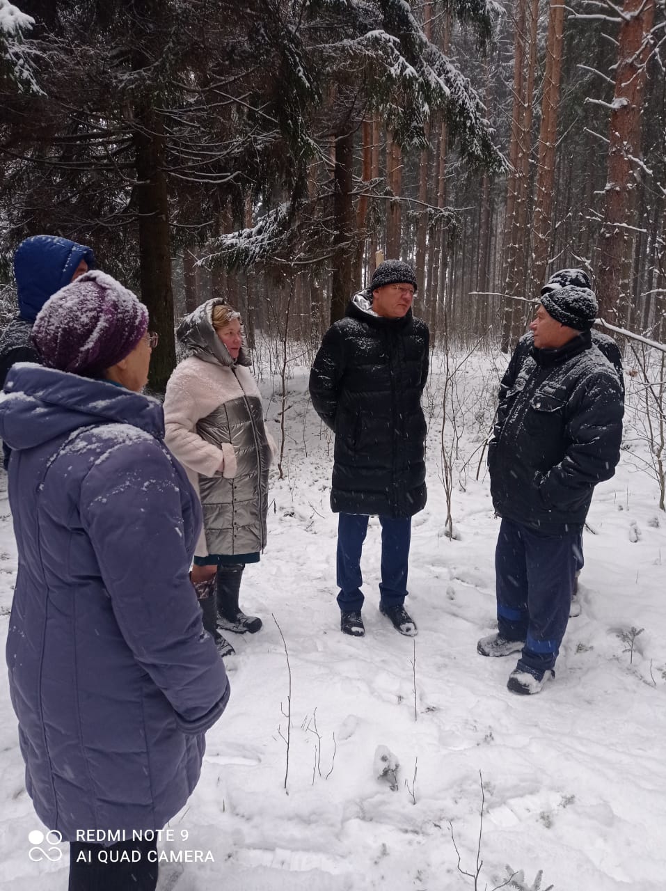 Под Ярославлем организовали проверку по факту рубки лесных насаждений в районе Красных Ткачей