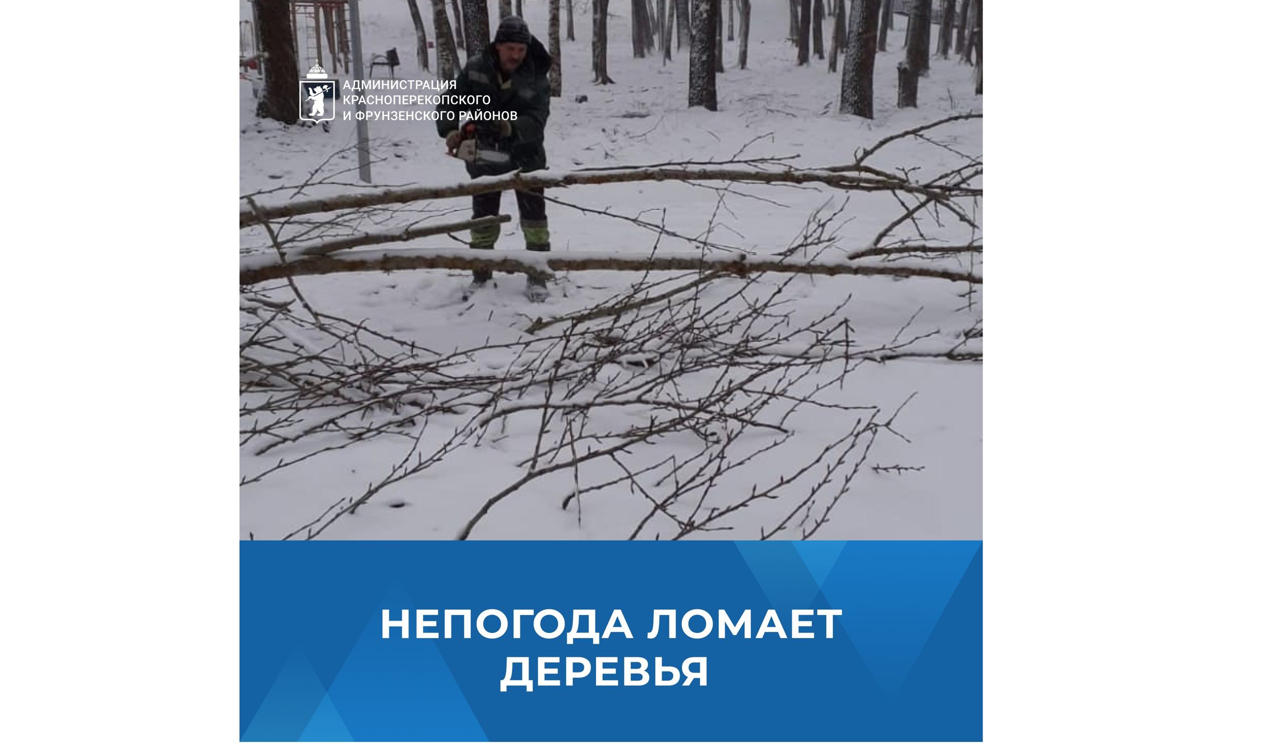 В парке на Липовой горе в Ярославле из-за непогоды упало несколько деревьев