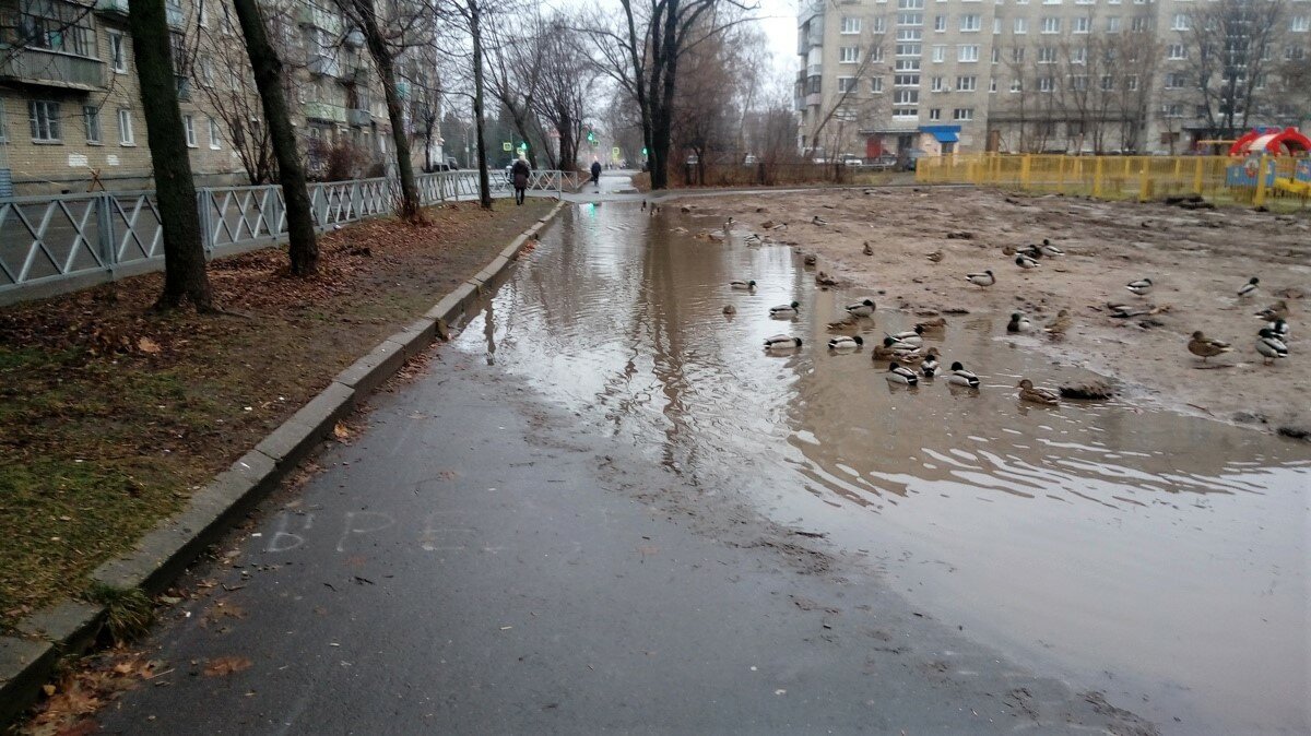Предложение главы Рыбинска по модернизации ливневой канализации поддержали в Правительстве России