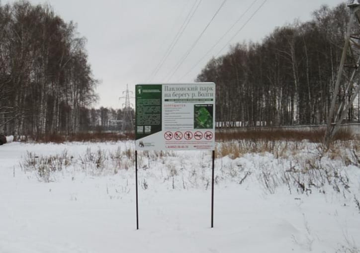 Нарушения на территории Павловской рощи в Ярославле будут устранены
