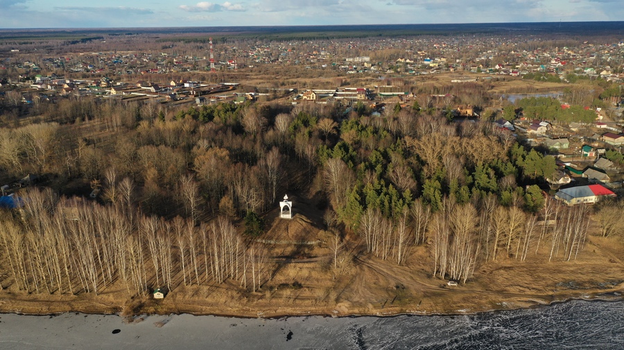 В Рыбинске срубят более 70 деревьев в Петровском парке
