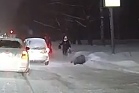 В сети появилось видео, как водитель «Матиза» сбил человека на пешеходном переходе в Ярославле